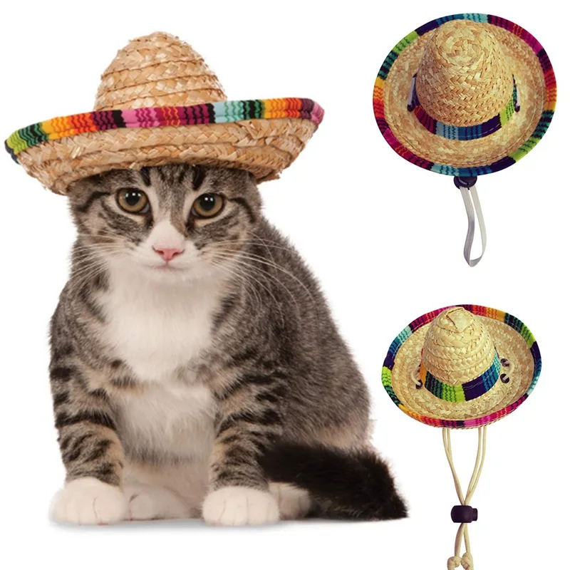 Fashionable Pet Woven Straw Hat for Cat