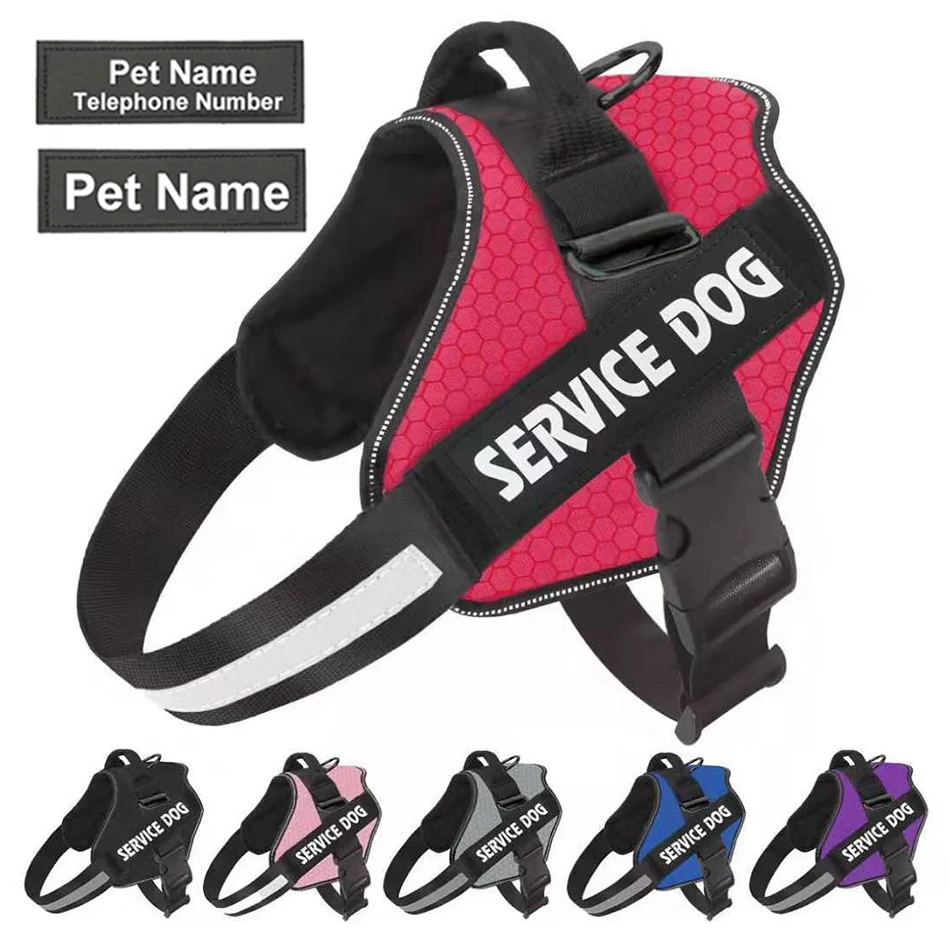 Pet Dog Collars Harness And Straps Leash