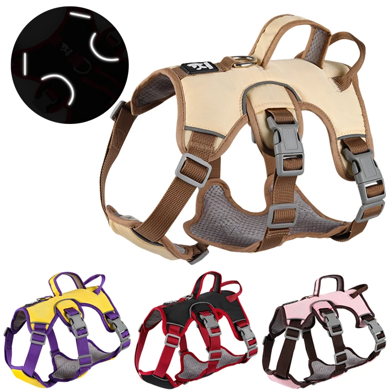 Adjustable Dog Harness Walking Lead Leash