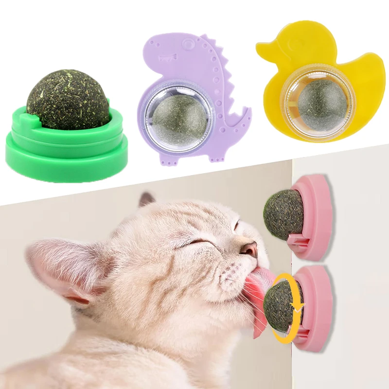 Catnip Wall Ball Cats Toys