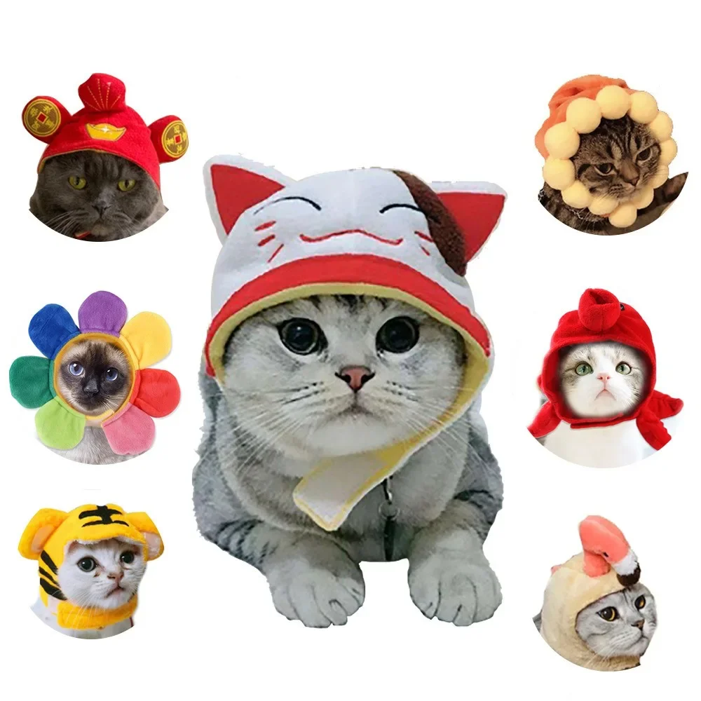 Funny Hat for Cat