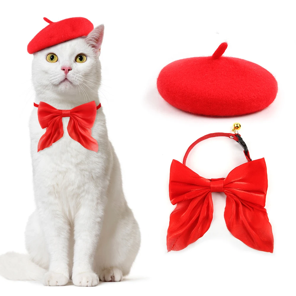 2pcs Pet Hat & Scarf Set