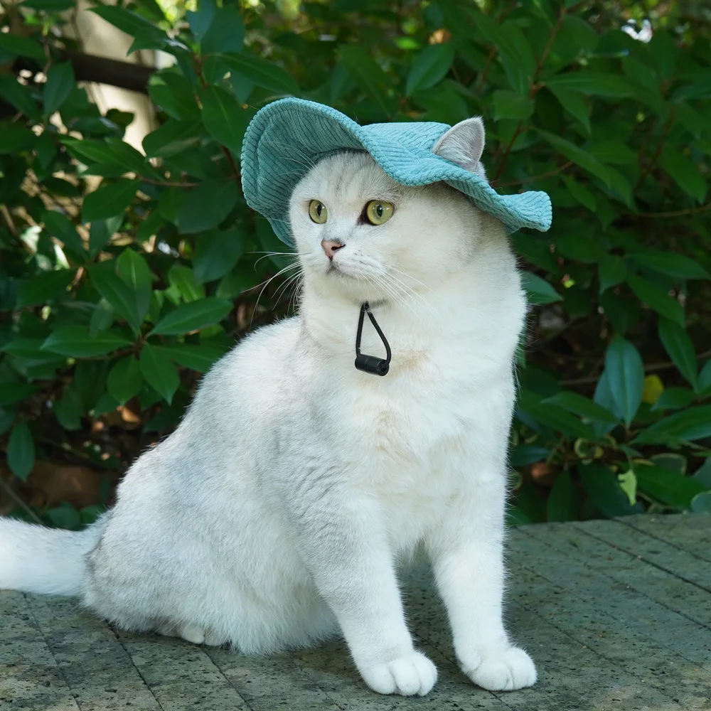 Adjustable Cat Hat Pet Fisher Cap