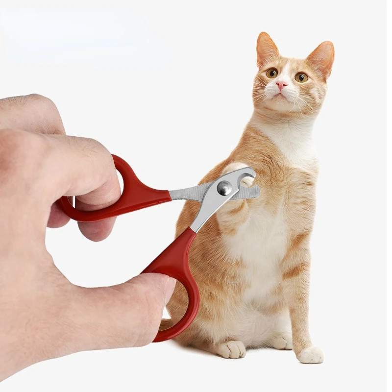 Professional Stainless Steel Cat Nail Scissors