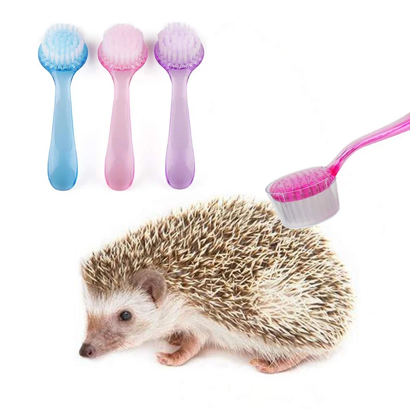 1Pc Hamster Brush Hedgehog Bathing Brush for Small Animal