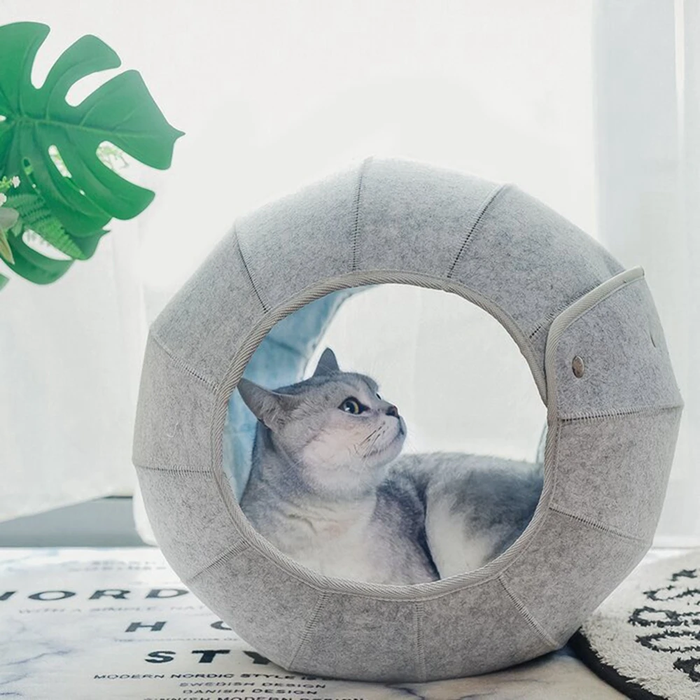 Cute Shell Cat Bed House Indoor, Cat Toys