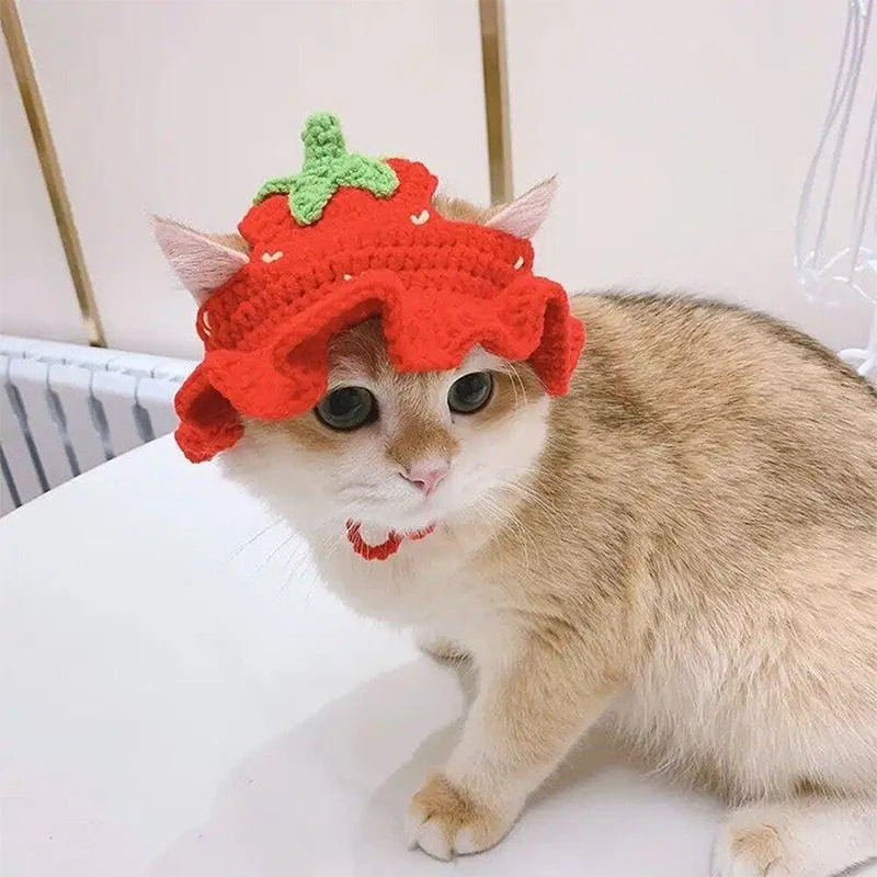 Pet Knitted Cat Wool Hand-knitted Cartoon Strawberry Red Hat