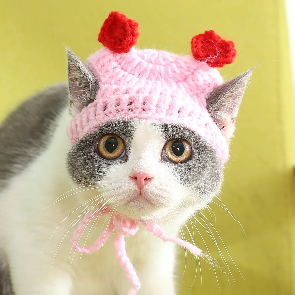 Hand Made Cat Headgear Knitted Hat