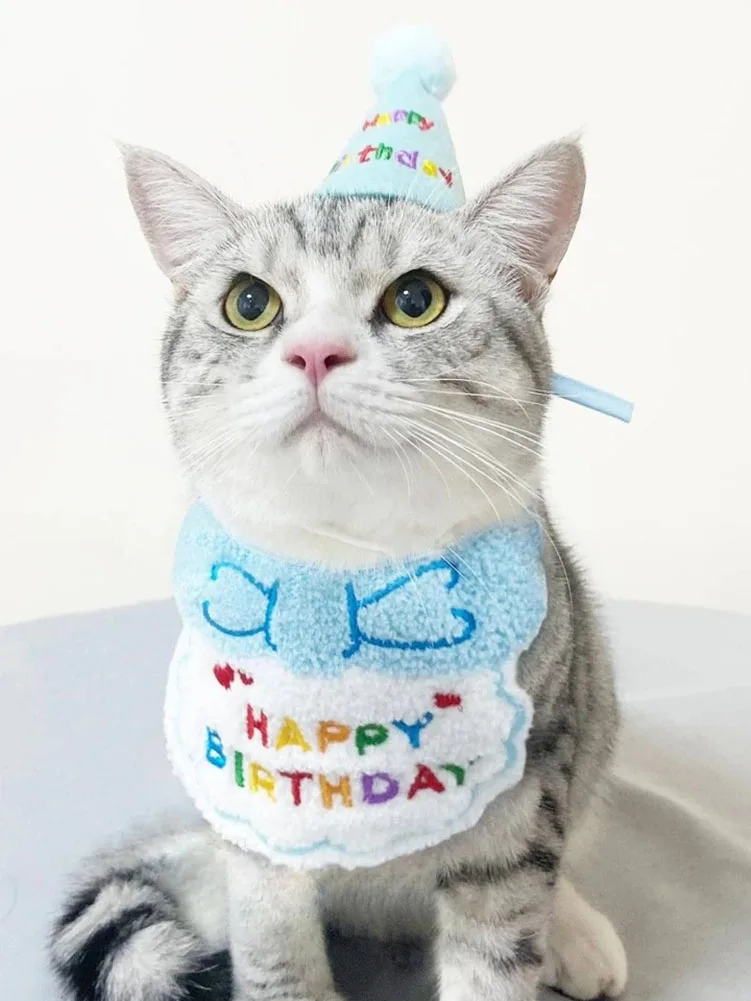 Cat Birthday Bib and Party Hat