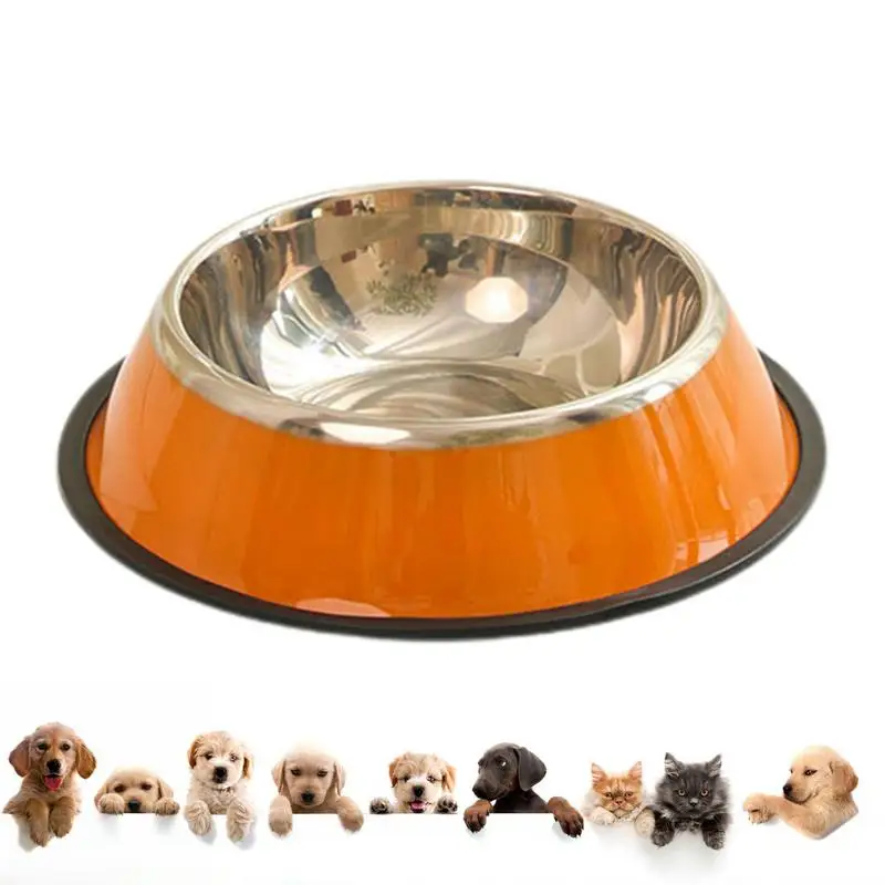 Stainless Steel Dog Food Dishes