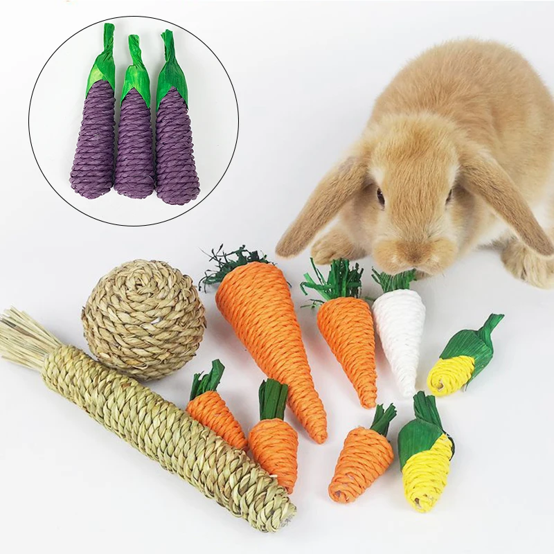 Rabbit Chew Tooth Cleaning Bite Grind Teeth Toy