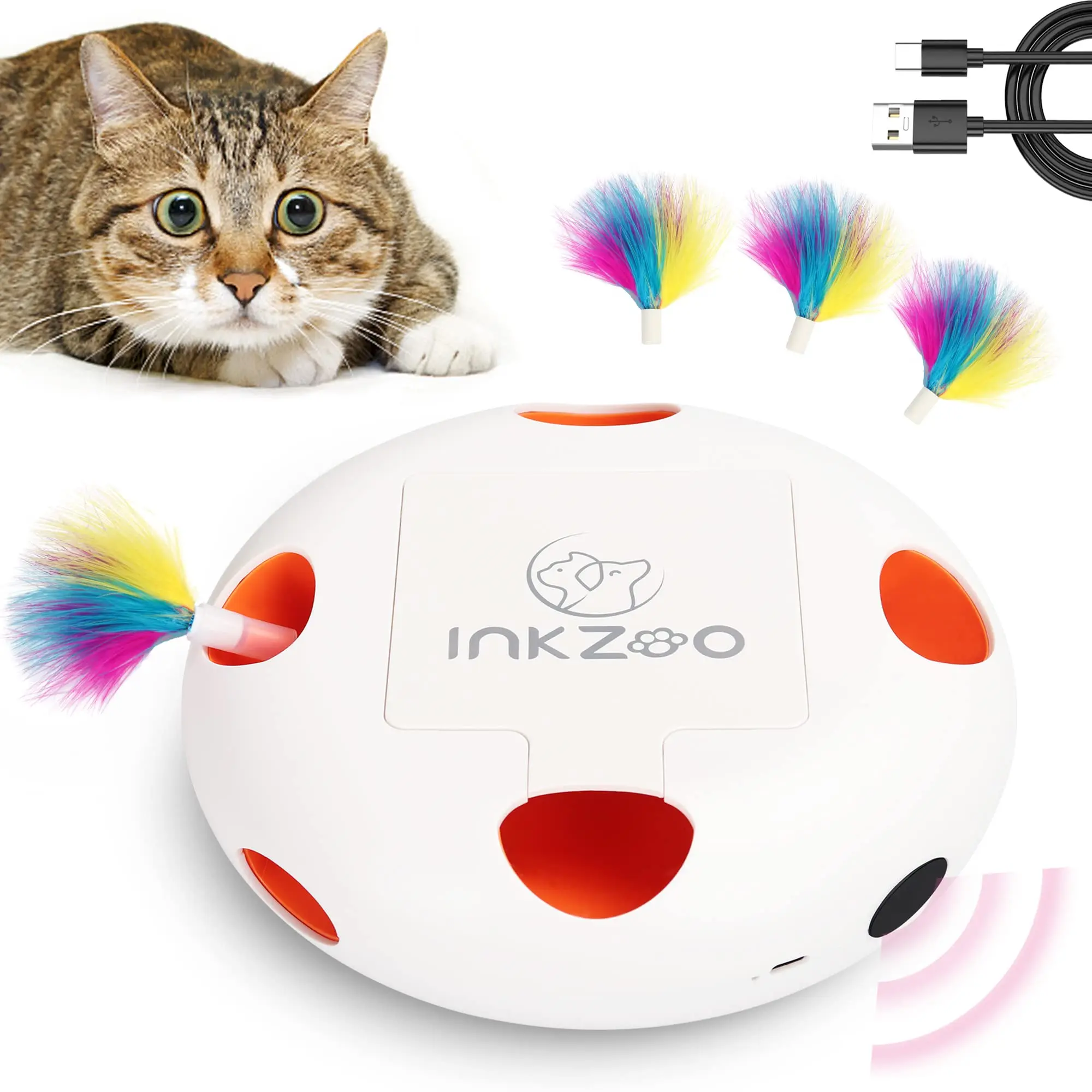 Interactive Cat Toys for Indoor